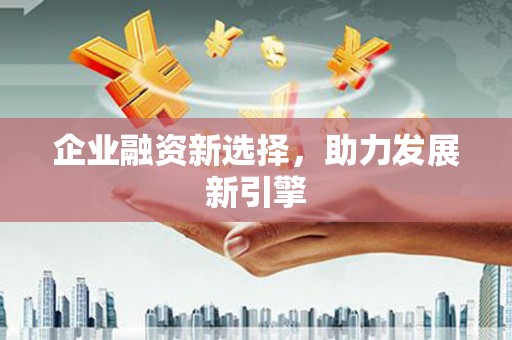 后龙企业融资新选择，助力发展新引擎