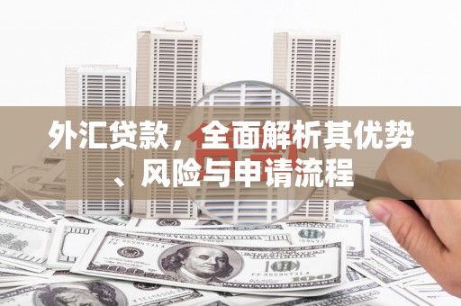 后龙外汇贷款，全面解析其优势、风险与申请流程