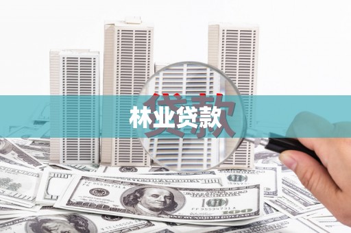 后龙林业贷款