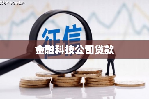 后龙金融科技公司贷款