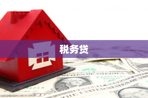 后龙税务贷