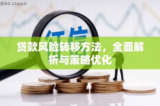 后龙贷款风险转移方法，全面解析与策略优化