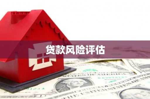 后龙贷款风险评估