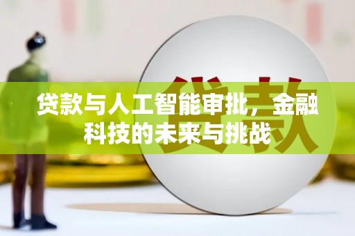 后龙贷款与人工智能审批，金融科技的未来与挑战