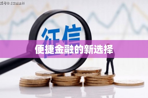 后龙便捷金融的新选择