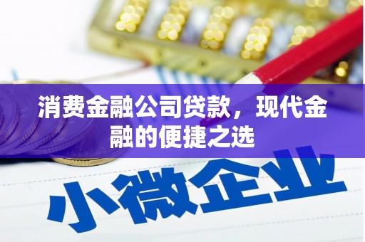 后龙消费金融公司贷款，现代金融的便捷之选