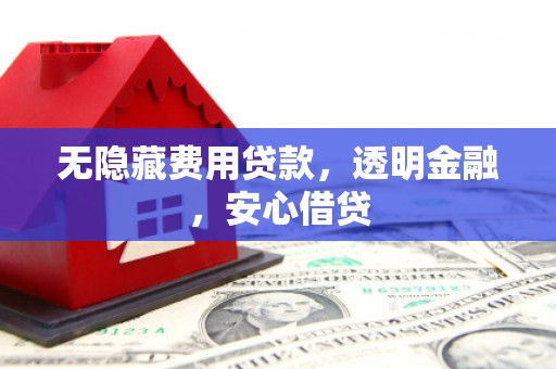 后龙无隐藏费用贷款，透明金融，安心借贷