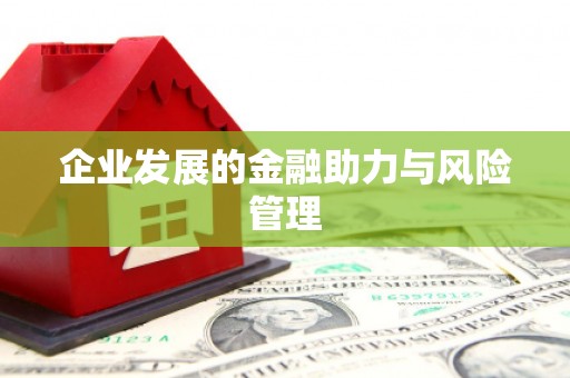 后龙企业发展的金融助力与风险管理