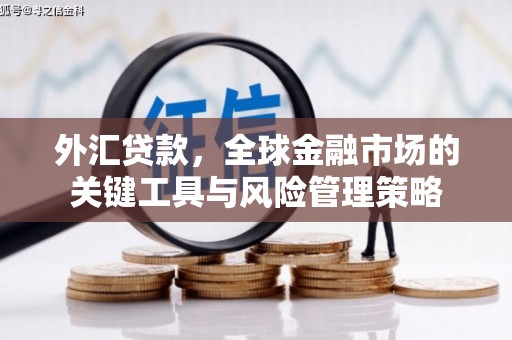 后龙外汇贷款，全球金融市场的关键工具与风险管理策略