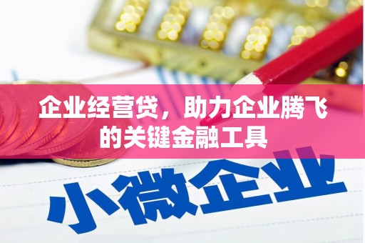 后龙企业经营贷，助力企业腾飞的关键金融工具