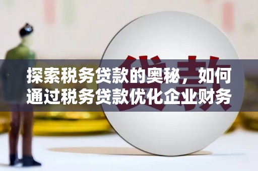 后龙探索税务贷款的奥秘，如何通过税务贷款优化企业财务