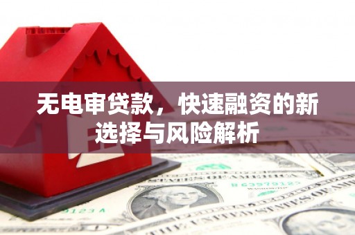 后龙无电审贷款，快速融资的新选择与风险解析