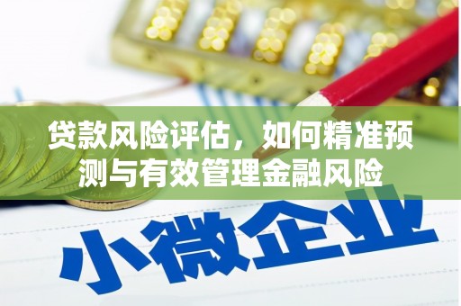 后龙贷款风险评估，如何精准预测与有效管理金融风险