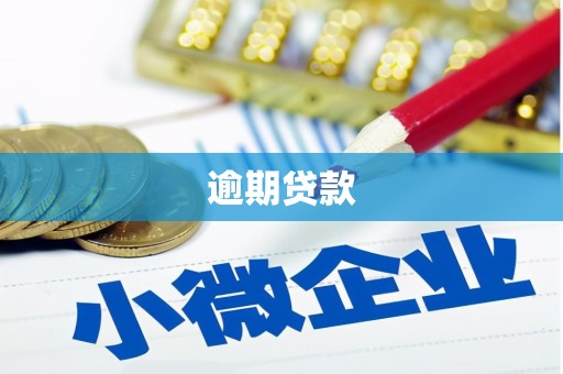 后龙逾期贷款