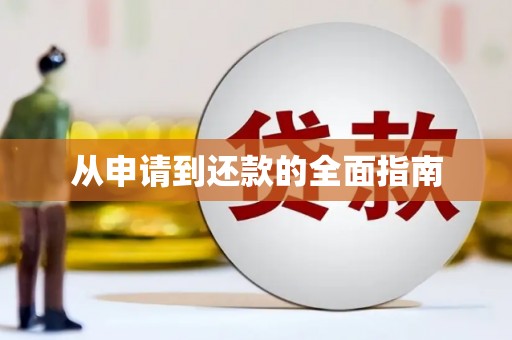 后龙从申请到还款的全面指南