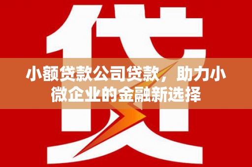 后龙小额贷款公司贷款，助力小微企业的金融新选择