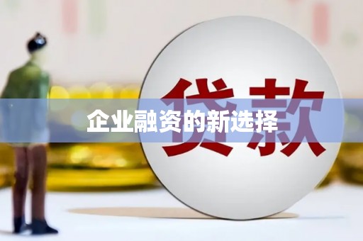 后龙企业融资的新选择