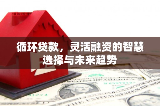 后龙循环贷款，灵活融资的智慧选择与未来趋势