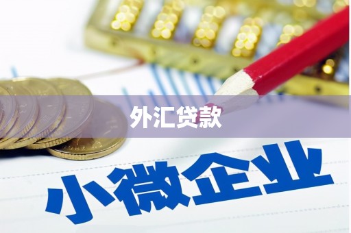后龙外汇贷款