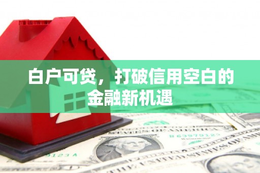 后龙白户可贷，打破信用空白的金融新机遇