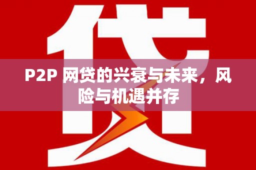 后龙P2P 网贷的兴衰与未来，风险与机遇并存