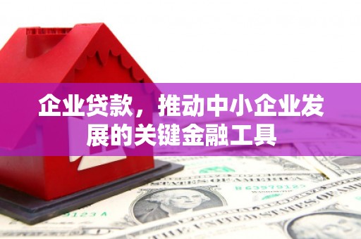 后龙企业贷款，推动中小企业发展的关键金融工具