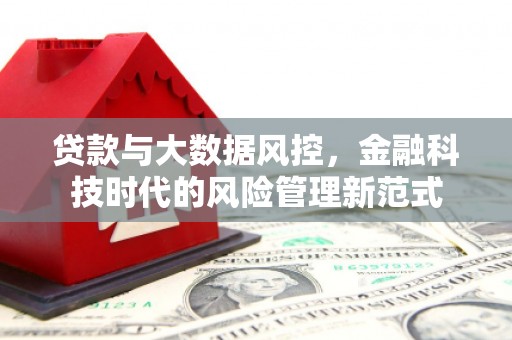 后龙贷款与大数据风控，金融科技时代的风险管理新范式