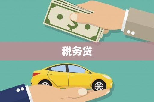 后龙税务贷