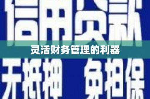 后龙灵活财务管理的利器