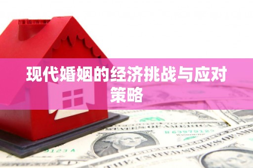 后龙现代婚姻的经济挑战与应对策略