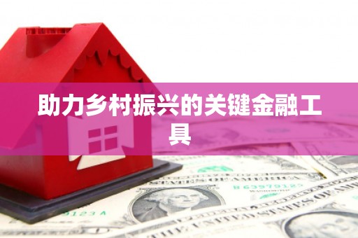 后龙助力乡村振兴的关键金融工具