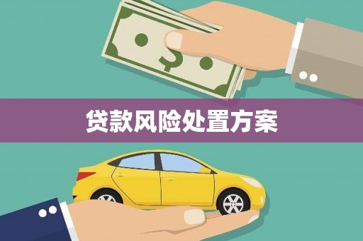 后龙贷款风险处置方案