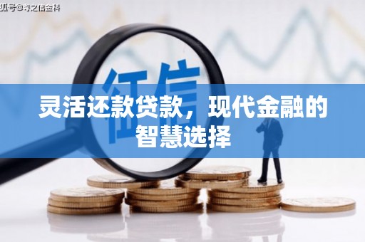 后龙灵活还款贷款，现代金融的智慧选择