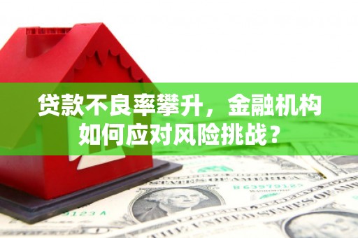 后龙贷款不良率攀升，金融机构如何应对风险挑战？