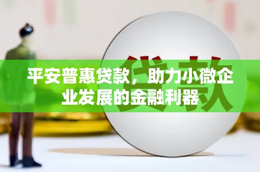 后龙平安普惠贷款，助力小微企业发展的金融利器