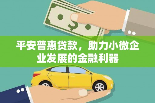 后龙平安普惠贷款，助力小微企业发展的金融利器