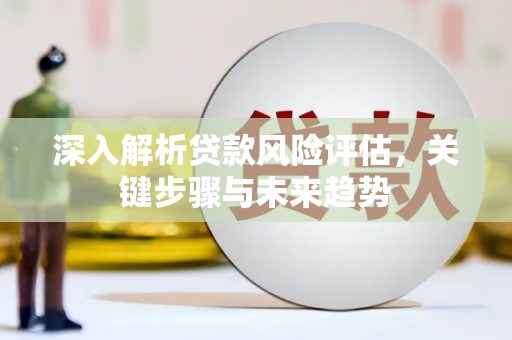 后龙深入解析贷款风险评估，关键步骤与未来趋势