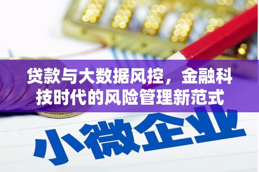 后龙贷款与大数据风控，金融科技时代的风险管理新范式