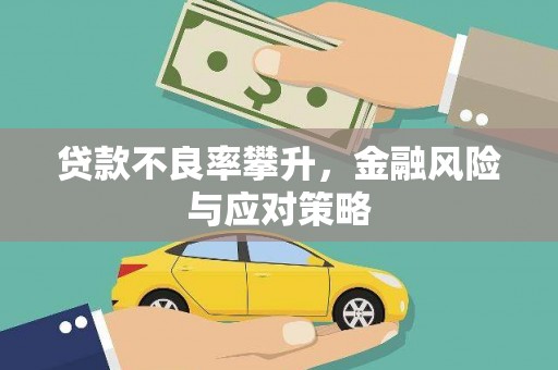 后龙贷款不良率攀升，金融风险与应对策略