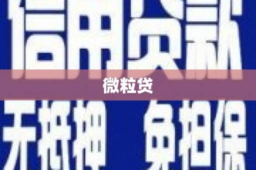 后龙微粒贷
