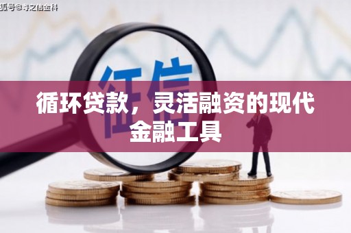 后龙循环贷款，灵活融资的现代金融工具