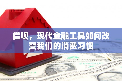 后龙借呗，现代金融工具如何改变我们的消费习惯