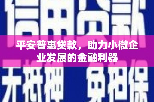 后龙平安普惠贷款，助力小微企业发展的金融利器