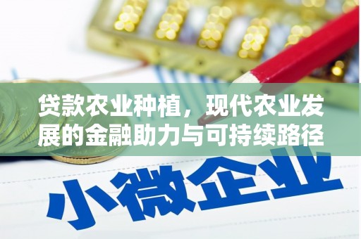 后龙贷款农业种植，现代农业发展的金融助力与可持续路径