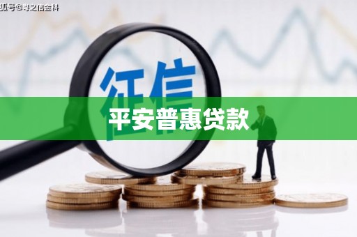 后龙平安普惠贷款