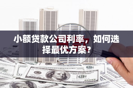 后龙小额贷款公司利率，如何选择最优方案？