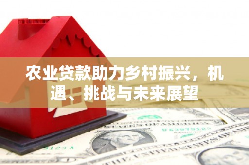 后龙农业贷款助力乡村振兴，机遇、挑战与未来展望