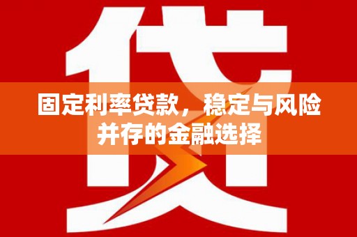 后龙固定利率贷款，稳定与风险并存的金融选择