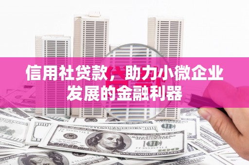 后龙信用社贷款，助力小微企业发展的金融利器