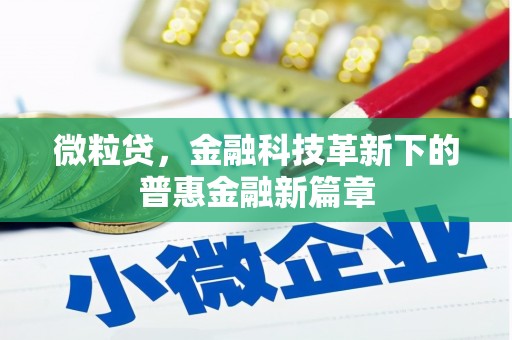 后龙微粒贷，金融科技革新下的普惠金融新篇章